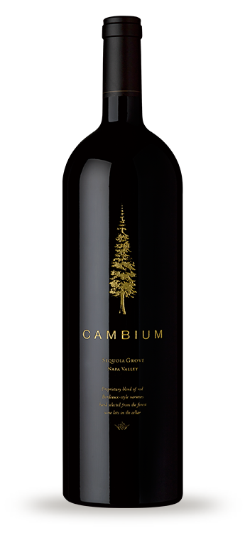 10SGV_Cambium_Mag8