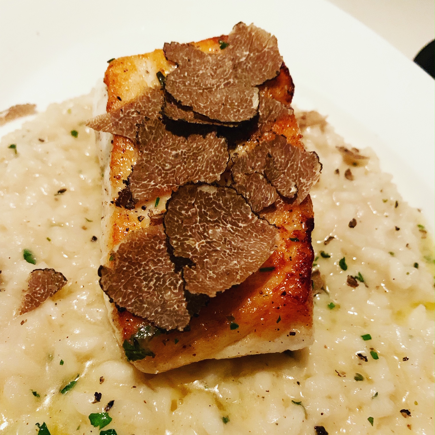 Scotch 80 Prime builds a new foundation for the next generation of